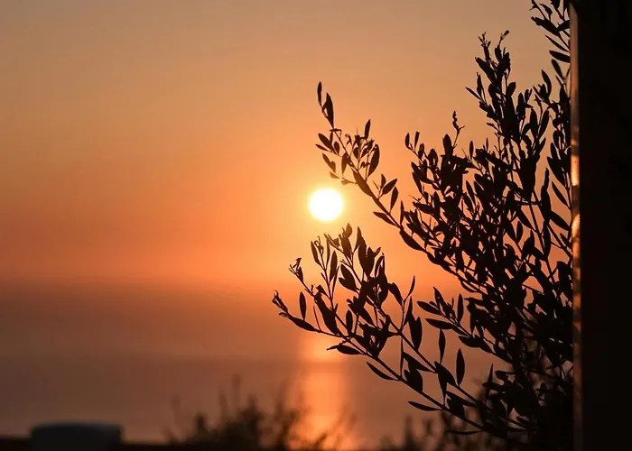 Hotel Splendour Hotel&suites 5*