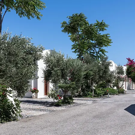 Splendour And فندق فِروستيفاني