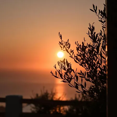 فندق Splendour And 5*