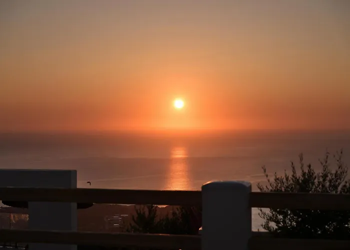 Splendour And Hotell